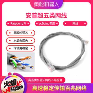 AMP 安普超五類(lèi)網(wǎng)線 原裝 Raspberry Pi 樹(shù)莓派 pcDuino專(zhuān)用 網(wǎng)線