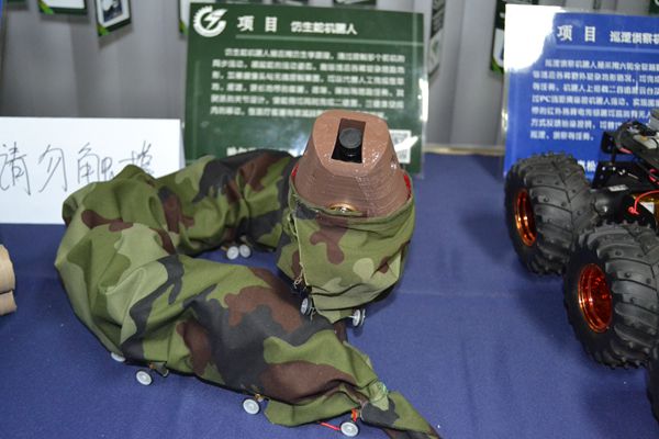 仿生蛇機(jī)器人