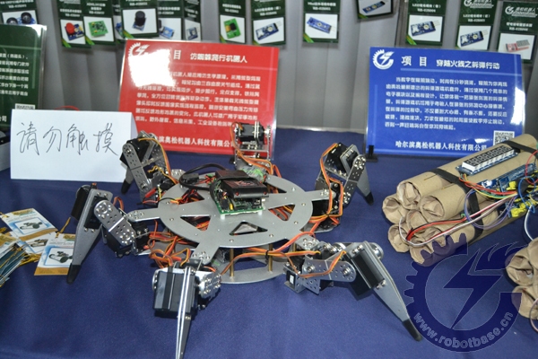 仿蜘蛛爬行機(jī)器人
