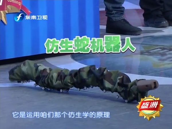 東南衛(wèi)視好好學習吧仿生蛇機器人